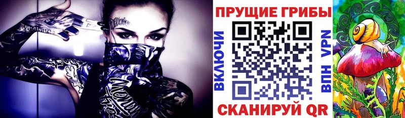 Галлюциногенные грибы прущие грибы  Тобольск 